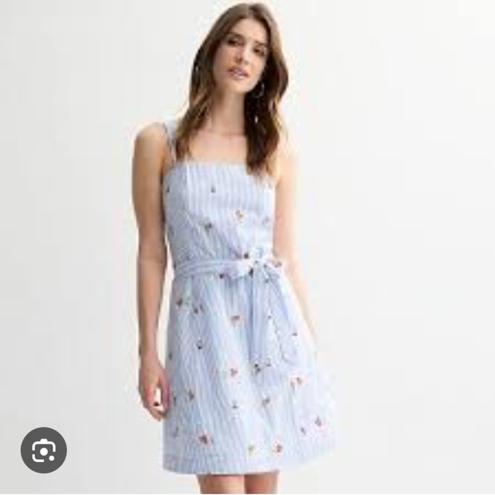 Draper James Blue and White Striped Dress with Red Floral Embroidery - Picture 3 of 6